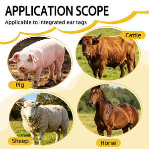 Pince d'identification professionnelle durable pour bétail, ovins et caprins – Idéale pour la manipulation et l'étiquetage en ferme - Product Image 6