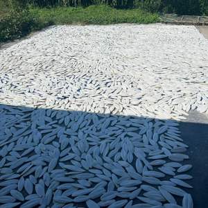 Les plus recherchés 2026 Bloc minéral pour oiseaux en os de seiche pour le nettoyage du bec et la mastication des animaux - Product Image 6