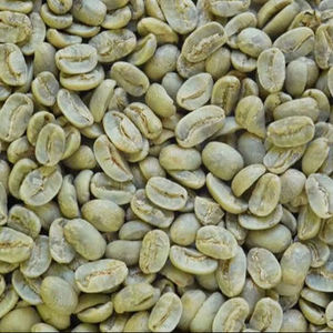 Café Vert Biologique du Vietnam Récolte Fraîche S16 S18 Prix Compétitif Origine Éthique Arabica Typica Brut Marque IIGLOBAL - Product Image 5