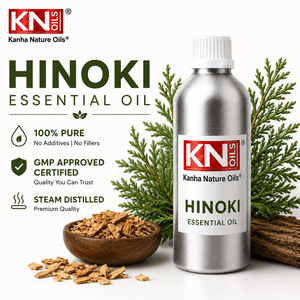 Aceite Esencial de Hinoki Chamaecyparis Obtusa 100% Orgánico Certificado de Primera Calidad, Fabricante a Granel, Envío a Todo el Mundo, Mayorista - Product Image 2