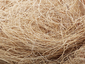 High Quality Eco-Friendly Coconut Coir Fiber for Gardening Hydroponics Mattress Filling-Anti-Bacteria ECO2GO VIETNAM - Product Image 6