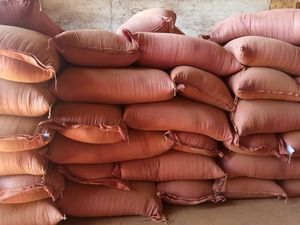 Poudre de colle et de cire vietnamienne pour bâtonnets d'encens – Écologique, Biologique, Premium Hiver, Agarbatti GMEX GP-S11P - Product Image 2