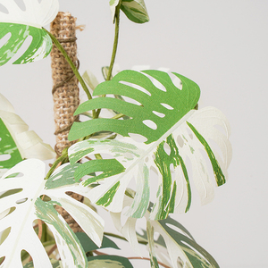 Kit de mini terrarium Monstera Deliciosa bricolage de haute qualité accessoires verts pour toujours en papier jouets éducatifs pour les enfants - Product Image 3