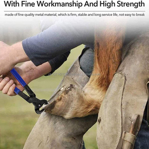 Cure-ongles professionnel en acier inoxydable pour chevaux de course – Outil de fermeur réutilisable pour l'entretien des sabots - Product Image 2