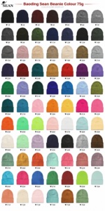 Bonnet tricoté classique d'hiver avec logo brodé, personnalisable, de luxe, chaud, style urbain, pour hommes et femmes, vente en gros - Product Image 5