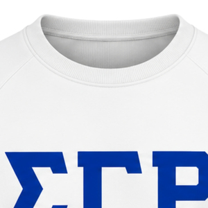 White Women Crew Neck Sweatshirt Greek Letter 1922 Graphic <b>Long</b> Sleeve Pullover <b>Top</b> with Blue Sleeve Stripes Casual Collegiate - Product Image 4
