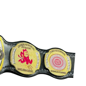 Ceinture de championnat PhD, Doctorat en Philosophie, Histoire, Design personnalisé, Jaune et Noir avec Panda et Logos universitaires - Product Image 3