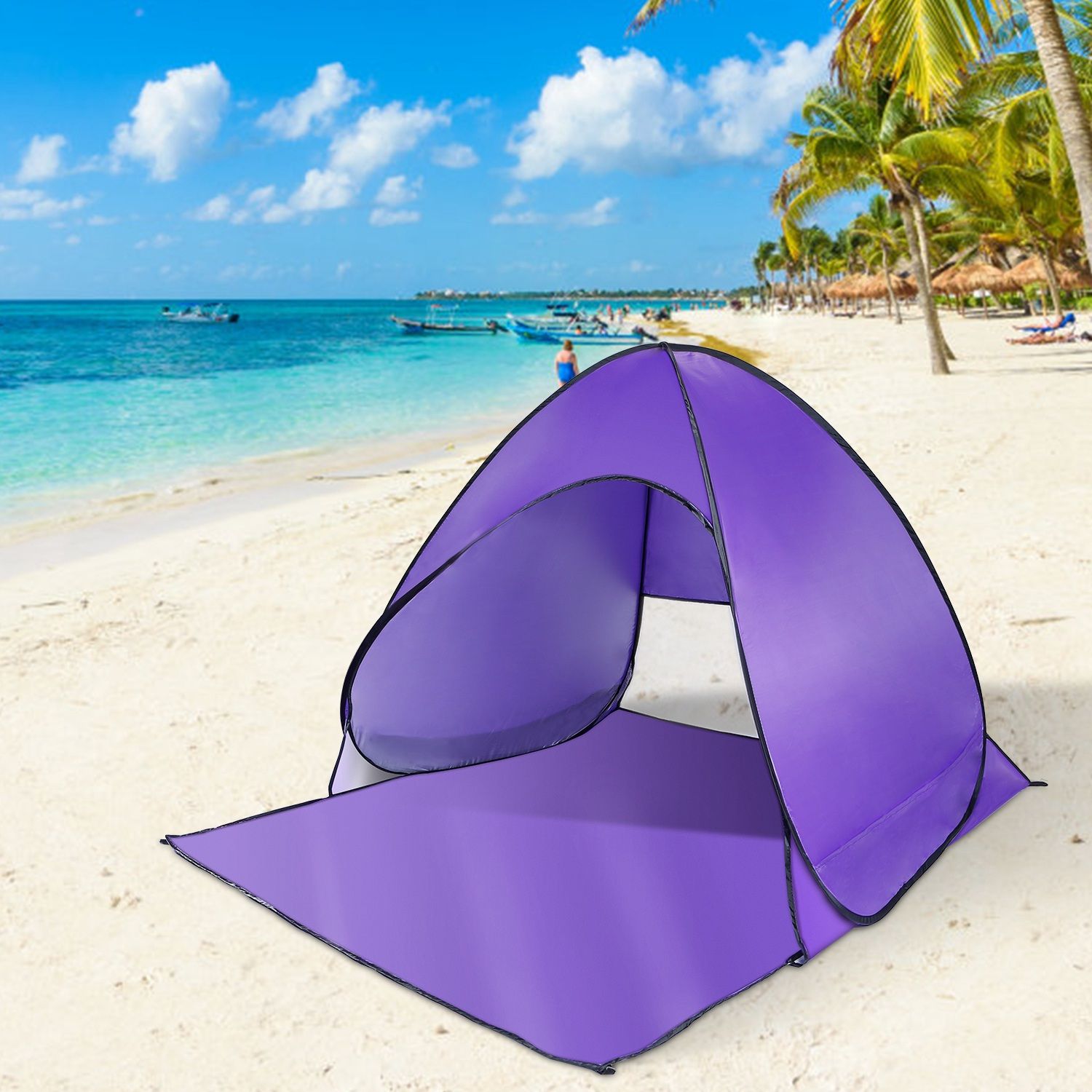 Purple Color