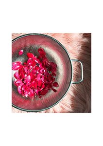 Natural High Grade <b>Dried</b> Rose <b>Petals</b> Vietnam Premium Fragrant Bulk Supply for Tea Cosmetics Aromatherapy - Product Image 5