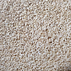 Ready To Ship SANTIGO <b>Nuts</b> <b>Kernels</b> Kaju Cashew <b>Nuts</b> Broken Kaju OEM, ODM Packaging - Product Image 5