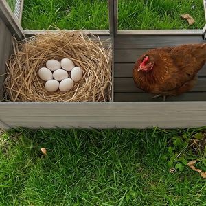 Gallinero de madera grande de 20.93 pies cuadrados con nido, techo de asfalto resistente a la intemperie, jaula para aves de corral con acceso interior para gallinas en exteriores - Product Image 4