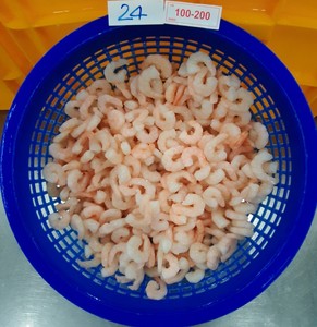 Đông Lạnh Nấu Chín Vỏ Deveined Vannamei Penaeus Tôm 21 + Màu Sắc Điều Trị Không Đầu Đuôi Cpd Túi Bao Bì Việt Nam 24 Tháng Kệ - Product Image 3