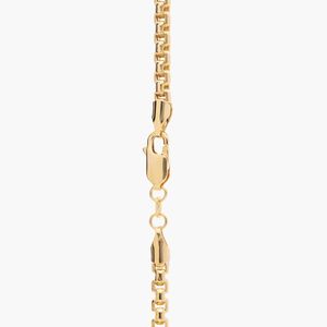 22" Semi-Solid Men's Round <b>Box</b> Chain in Yellow Gold - Product Image 1
