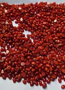 Coral rouge italien ovale, taille mm, meilleure qualité, belle couleur, pierre précieuse, pierre précieuse en vrac pour la création de bijoux - Product Image 2