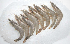 Camarones Crudos Congelados HLSO-Vannamei y Camarones Tigre Negro de Brasil, Empaque a Granel de Fábrica, Mejor Calidad - Product Image 1