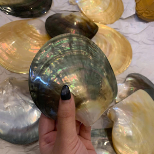 Elegante Plato de Nácar Negro, Pulido por Ambos Lados, Concha Natural, Artesanía Vietnamita, Plato Decorativo, Calidad de Exportación - Product Image 1