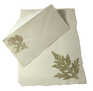 Juego de Papelería Green Life Style con Cabezales y Sobres A4 con Bordes Decorativos (Bordes Naturales) con Impresiones de Hojas Reales Frescas - Product Image 2