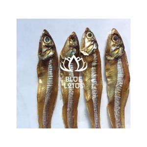 Anchois séchés très demandés, matériau de qualité supérieure pour projets d'exposition commerciale et élément décoratif robuste pour ensemble de balcon intérieur - Product Image 1