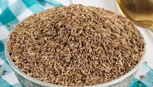 Extracto de Semillas de Diente de León Silvestre Natural Premium, Sabor Herbal Fresco, Uso Diario en Cocina, de la India, Exportación a Granel a Bajo Precio - Product Image 6