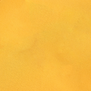 Sweat-shirt en molleton de qualité supérieure avec broderie chenille SGRho dorée, col rond côtelé personnalisé, sweat-shirt de sororité, vêtements scolaires - Product Image 4