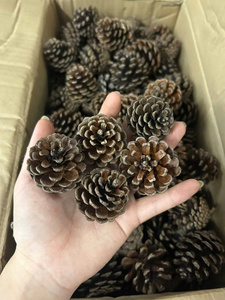 ของตกแต่งคริสต์มาสจากโรงงาน ผลิตภัณฑ์จากธรรมชาติ โคนต้นสนขนาดเล็กแบบเรียบง่าย ค้นหาไอคอนที่คล้ายกัน ขายส่งโคนต้นสน - Product Image 4