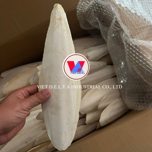 กระดูกปลาหมึกขาวพรีเมียมแบบทั้งตัว/ชิ้น ขนาด 4-5 ซม. สำหรับอาหารสัตว์ แคลเซียมสูง ผลิตในเวียดนาม จำหน่ายทั่วโลก - Product Image 2