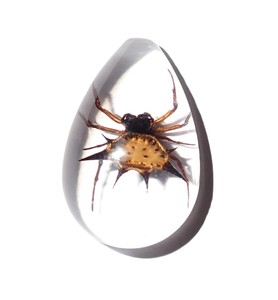 Spiny <b>Spider</b> Real Specimen <b>Plastic</b> Cabochon Pear Shape Cut Top 33x22 mm Clear Flat Bottom for Crafts and Jewelry Making - Product Image 1