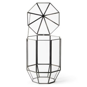 Black Frame Glass Terrarium <b>Mini</b> Landscape Planter Suitable For Photo Shoot Props And Aesthetic Content Setup From India - Product Image 3
