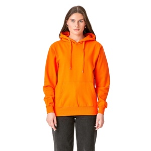 <b>Top</b> Rated Womens Pullover Hoodie Soft Fabric Sweatshirt for <b>Winter</b> Travel and Casual Outfit Daily Comfort Women Hoodie - Product Image 1