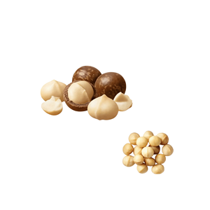 Precio Competitivo, Estándar Internacional, Fábrica en Vietnam, Deliciosas Nueces de Macadamia Enteras Empacadas en Bolsas de Varios Tamaños - Product Image 3