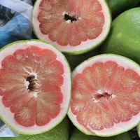 Biologische 1-1,8 kg/stuk groene pomelo grapefruit uit Vietnam, vers citrusfruit met roze vruchtvlees en Brix 10-13%