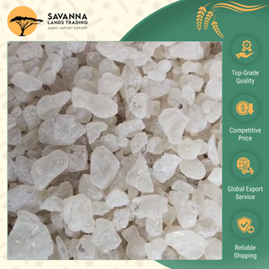 Fabricante y Proveedor Líder en Indonesia, Resina de Goma Damar de Primera Calidad 100% Genuina, Servicio OEM Personalizado - Product Image 6