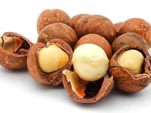 Nueces de Macadamia Tostadas Crujientes con Cáscara, Sabor Natural para Compradores Mayoristas - Product Image 5