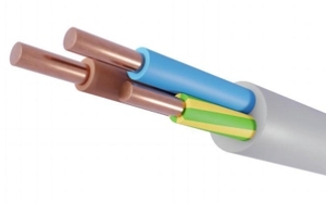 Cable de Alimentación <span class=keywords><strong>Bvv</strong></span> 300/500v de 3 Núcleos, Cobre Puro, Aislamiento de PVC, 3x2.5mm, para Uso en Centrales Eléctricas - Product Image 4