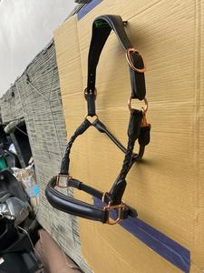 Equipo Ecuestre de Alta Calidad: Cabestro y Brida de Cuero Vacuno Suave Teñido en Tambor, Estilo Australiano - Product Image 2