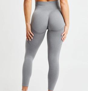 Échantillons Gratuits – Nouveaux Vêtements de Sport Sans Coutures pour Femmes – Vêtements de Yoga et Fitness – Leggings et Pantalons de Yoga Sans Coutures – Idéal pour le Dropshipping - Product Image 1