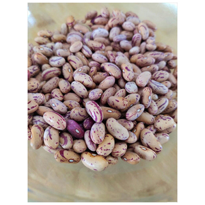 Frijoles rojos de alta calidad, forma larga, en venta (precio con descuento) Frijoles azucarados al por mayor - Product Image 4