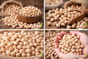 Garbanzos de Primera Calidad (Kabuli / Desi Chana) - Product Image 2