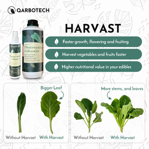 Ready To Spray Harvast Plant Growth Solution For Vegetable Photosynthesis Enhancement Malaysia Export - Product Image 2