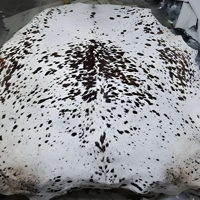 Spotted Black and White