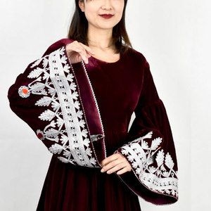 Robe afghane traditionnelle élégante pour femmes, magnifique robe longue à manches longues brodée, vêtements culturels - Product Image 5