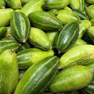 Calabaza Verde Fresca de Primera Calidad de Bangladesh, Suministro Directo de Granja, Calidad de Exportación, Seis Estaciones, Agro - Product Image 3