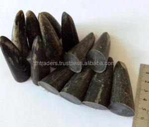 Puntas de cuerno de Búfalo Blanco Natural de la mejor calidad de Azaming DE LA India Estilo animal pulido para exportación Cuerno natural - Product Image 3