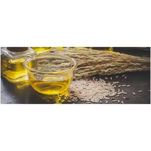 RICE BRAN <b>OIL</b> BEST CHOICE <b>FOR</b> WHOLESALE - Product Image 2
