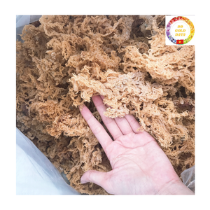 Mousse de mer en gros |   Eucheuma Cottonii séché |   Algues marines naturelles |   Prix d'usine en gros Vietnam - Product Image 1