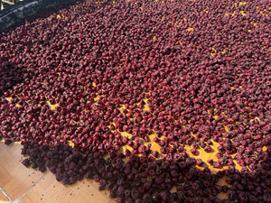 Fleurs d'hibiscus séchées entières rouges pour tisane et décoration, fleurs de rosier naturelles, fabrication vietnamienne - Product Image 5