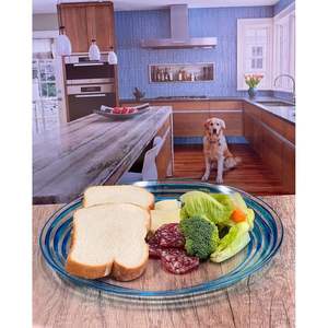 Turbine 12 \ "Set piatti in acrilico 4 piatti da cucina in plastica infrangibili senza BPA blu lavabili per tutti - Product Image 4