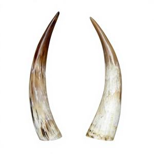 Tasses en corne de bœuf polies, personnalisables OEM, de haute qualité, durables, écologiques, compatibles lave-vaisselle, style américain, pour bière et vin de Noël B.S. - Product Image 6