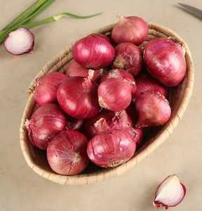 Premium <b>Fresh</b> Onions for Export – Bulk Wholesale <b>Vegetable</b> Supplier - Product Image 2