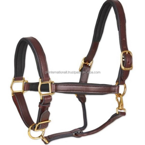 Halter de caballo de cuero negro o marrón separable resistente de doble costura con relleno suave de vaca colorido y hebillas ajustables - Product Image 2